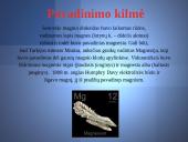Magnis - skaidrės 10 puslapis