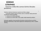 Autorių teisės ir šaltinių citavimas 11 puslapis