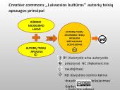 Autorių teisės ir šaltinių citavimas 13 puslapis