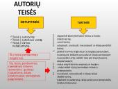 Autorių teisės ir šaltinių citavimas 3 puslapis