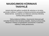 Autorių teisės ir šaltinių citavimas 4 puslapis