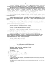 Marketingo planas: laisvalaikio organizavimas "Party-bus" 11 puslapis