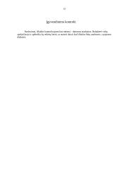 Marketingo planas: laisvalaikio organizavimas "Party-bus" 12 puslapis