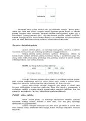 Marketingo planas: laisvalaikio organizavimas "Party-bus" 6 puslapis