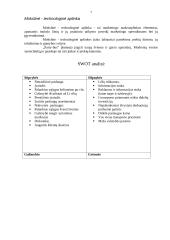 Marketingo planas: laisvalaikio organizavimas "Party-bus" 7 puslapis