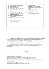 Marketingo planas: laisvalaikio organizavimas "Party-bus" 8 puslapis