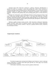 Marketingo planas: laisvalaikio organizavimas "Party-bus" 10 puslapis