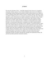 Rinkos pusiausvyra (rašto darbas) 2 puslapis