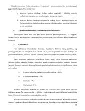 Marketingo planas: tiksliųjų mokslų CD rinkinys 11 puslapis