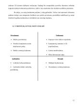 Marketingo planas: tiksliųjų mokslų CD rinkinys 12 puslapis