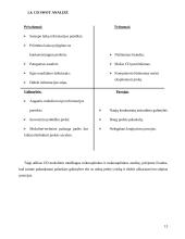 Marketingo planas: tiksliųjų mokslų CD rinkinys 13 puslapis