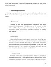 Marketingo planas: tiksliųjų mokslų CD rinkinys 17 puslapis