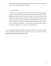 Marketingo planas: tiksliųjų mokslų CD rinkinys 18 puslapis