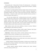 Marketingo planas: tiksliųjų mokslų CD rinkinys 4 puslapis