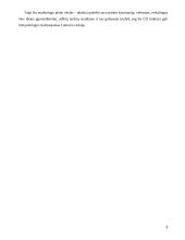 Marketingo planas: tiksliųjų mokslų CD rinkinys 8 puslapis