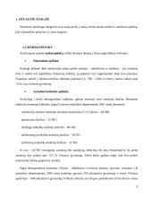 Marketingo planas: tiksliųjų mokslų CD rinkinys 9 puslapis