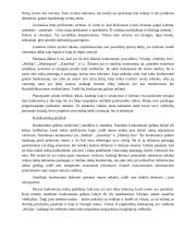 Marketingo planas: viešbutis UAB "Wow" 2 puslapis