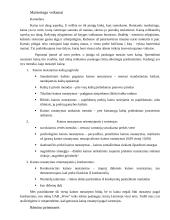 Marketingo planas: viešbutis UAB "Wow" 3 puslapis