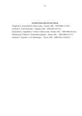 Marketingo prigimtis, turinys ir sudėtis 13 puslapis