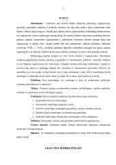 Marketingo prigimtis, turinys ir sudėtis 3 puslapis