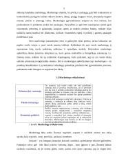 Marketingo prigimtis, turinys ir sudėtis 5 puslapis