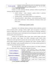 Marketingo prigimtis, turinys ir sudėtis 9 puslapis