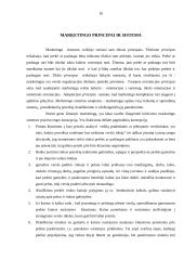 Marketingo prigimtis, turinys ir sudėtis 10 puslapis