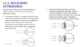 Regos fizika. Skaidrės 9 puslapis