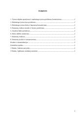 Marketingo tyrimas: apdailos darbai UAB "Ervesta" 2 puslapis