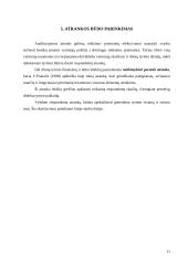 Marketingo tyrimas: apdailos darbai UAB "Ervesta" 11 puslapis