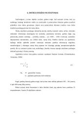 Marketingo tyrimas: apdailos darbai UAB "Ervesta" 12 puslapis