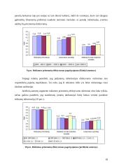 Marketingo tyrimas: apdailos darbai UAB "Ervesta" 18 puslapis