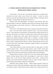 Marketingo tyrimas: apdailos darbai UAB "Ervesta" 3 puslapis