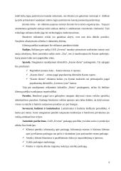 Marketingo tyrimas: apdailos darbai UAB "Ervesta" 4 puslapis