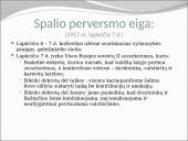 Rusija 1917 metais:  nuo Vasario revoliucijos iki Spalio perversmo 14 puslapis