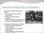 Rusija 1917 metais:  nuo Vasario revoliucijos iki Spalio perversmo 6 puslapis