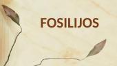 Skaidrės - fosilijos