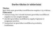 Genetiškai modifikuoti augalai ir jų reikšmė (skaidrės) 2 puslapis