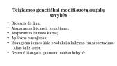 Genetiškai modifikuoti augalai ir jų reikšmė (skaidrės) 12 puslapis