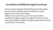 Genetiškai modifikuoti augalai ir jų reikšmė (skaidrės) 14 puslapis