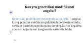 Genetiškai modifikuoti augalai ir jų reikšmė (skaidrės) 3 puslapis
