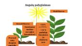 Genetiškai modifikuoti augalai ir jų reikšmė (skaidrės) 4 puslapis
