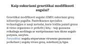 Genetiškai modifikuoti augalai ir jų reikšmė (skaidrės) 5 puslapis