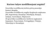 Genetiškai modifikuoti augalai ir jų reikšmė (skaidrės) 10 puslapis