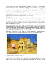 Kūrybos rezultatą lemiantys veiksniai. Polis Gogenas ,,La Orana Maria” 2 puslapis