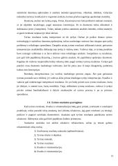 Marketingo tyrimo procesas 13 puslapis