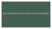 Gamtos įtaka Liudo Vasario gyvenime 4 puslapis