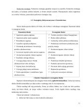 Marketingo veiklos strateginis planavimas: UAB "Liepa" 11 puslapis