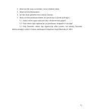 Marketingo veiklos strateginis planavimas: UAB "Liepa" 12 puslapis