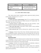 Marketingo veiklos strateginis planavimas: UAB "Liepa" 15 puslapis